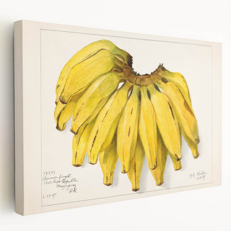 Large canvas depicting an assortment of vibrant fruits, ideal for kitchen wall art.