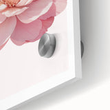 Blush Pink Peony Floral Print - Nursery Wall Art for Girls