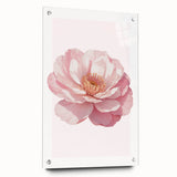 Blush Pink Peony Floral Print - Nursery Wall Art for Girls