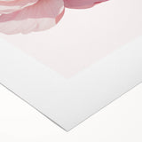 Blush Pink Peony Floral Print - Nursery Wall Art for Girls