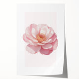 Blush Pink Peony Floral Print - Nursery Wall Art for Girls
