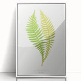 Polypodium Fern Realism Art Print - Edward Lowe Botanical Wall Decor
