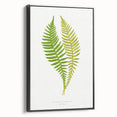 Polypodium Fern Realism Art Print - Edward Lowe Botanical Wall Decor