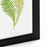 Polypodium Fern Realism Art Print - Edward Lowe Botanical Wall Decor