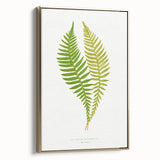 Polypodium Fern Realism Art Print - Edward Lowe Botanical Wall Decor