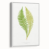Polypodium Fern Realism Art Print - Edward Lowe Botanical Wall Decor