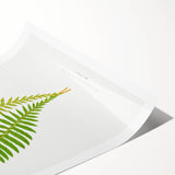 Polypodium Fern Realism Art Print - Edward Lowe Botanical Wall Decor