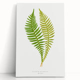 Polypodium Fern Realism Art Print - Edward Lowe Botanical Wall Decor