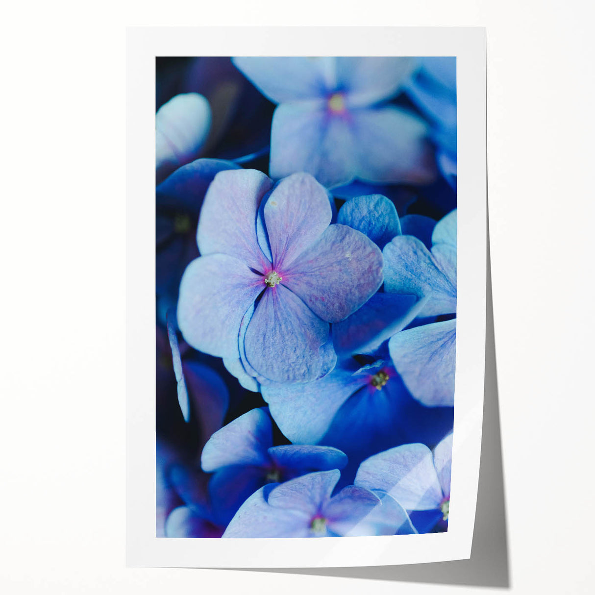 Extra large rolled print of spring-themed floral art in muted green and pink tones, ideal for dining room wall decor.