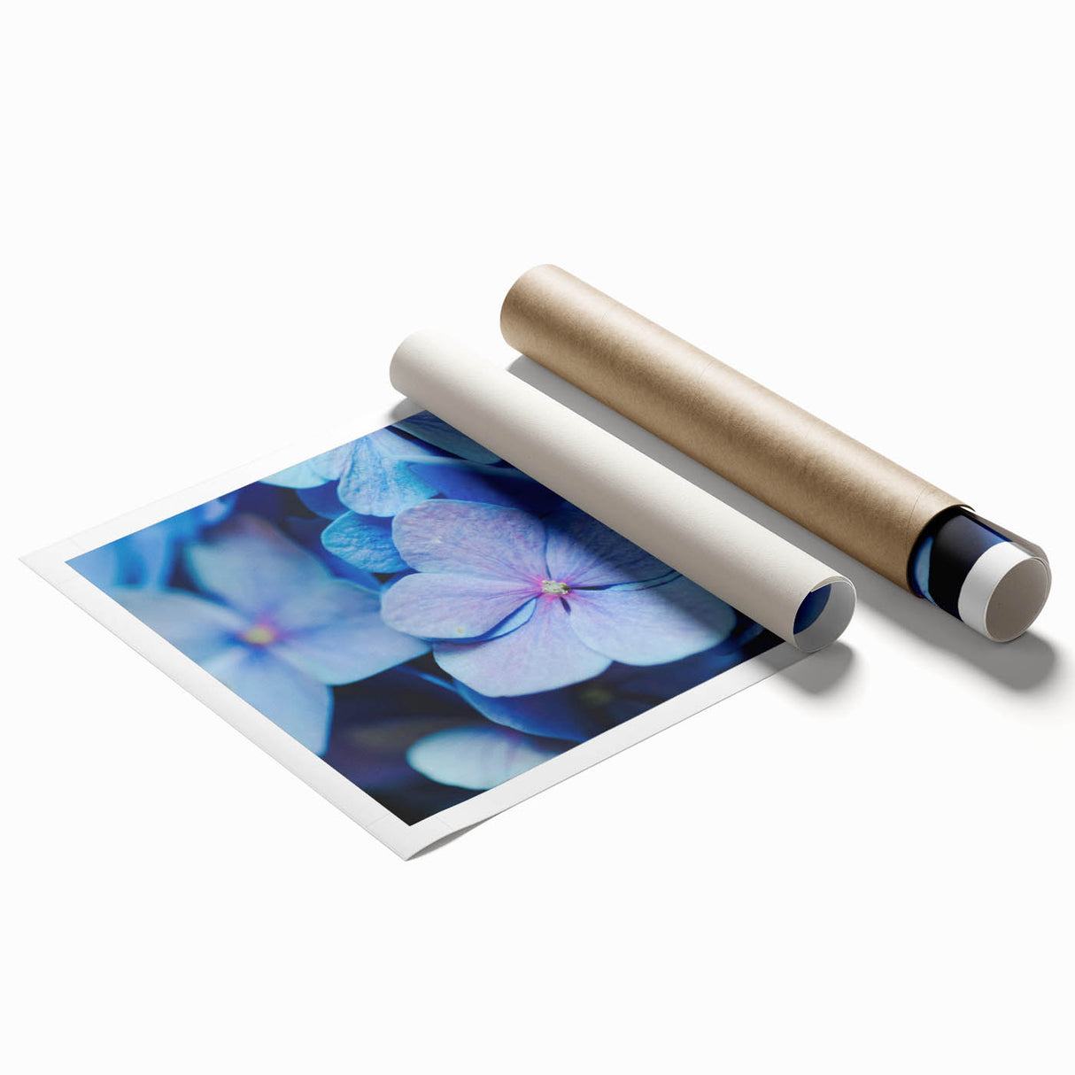 Extra large rolled print featuring a floral design in pastel shades, ideal for classy bathroom wall art.