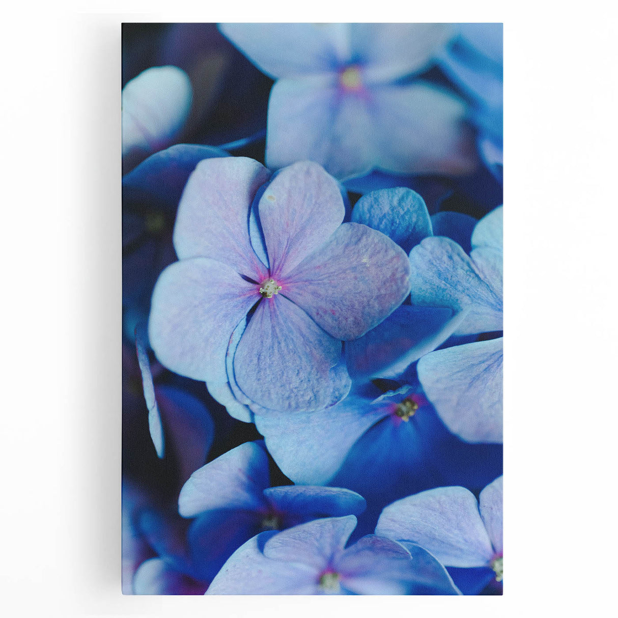 Large black and white abstract canvas depicting spring season, ideal for kitchen wall art.