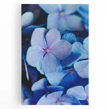 Large black and white abstract canvas depicting spring season, ideal for kitchen wall art.