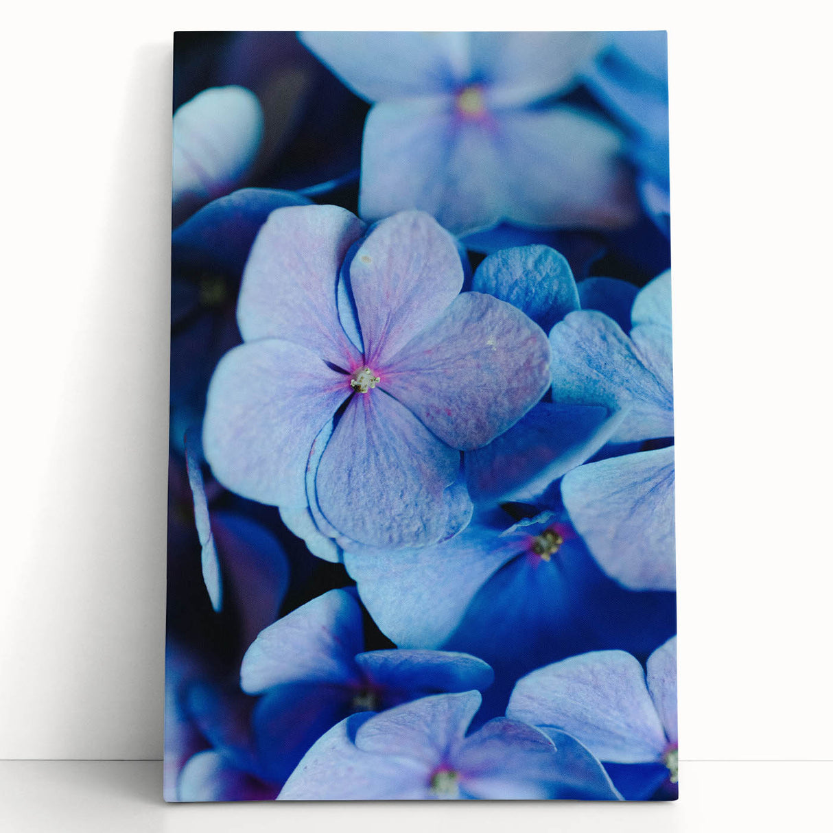 Large black and white abstract canvas depicting spring season, ideal for kitchen wall art.