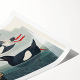 Romanticism Art: "Black Guillemot" by John James Audubon