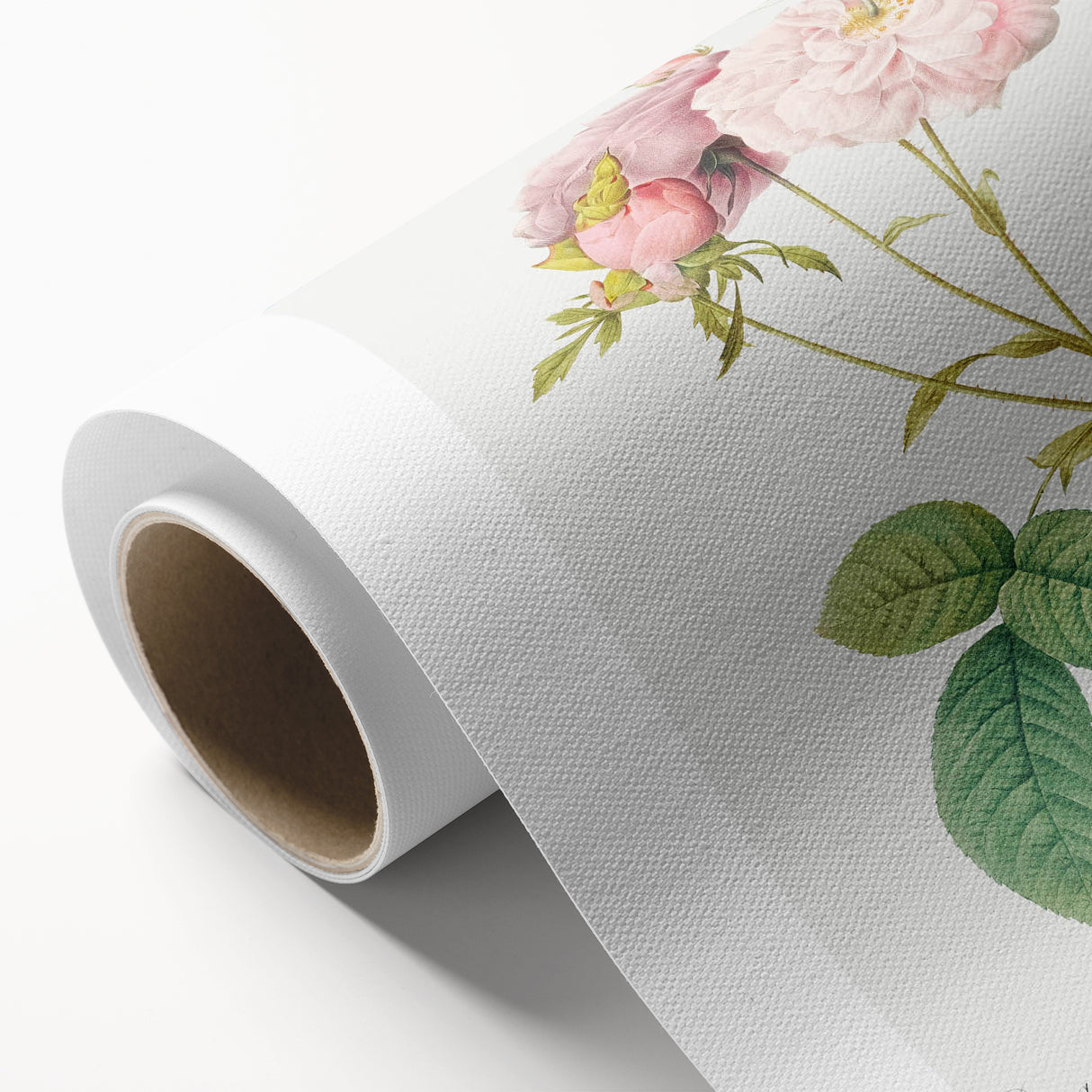 Neoclassical Celsiana Damask Rose Print - Botanical Art by Redouté