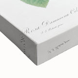 Neoclassical Celsiana Damask Rose Print - Botanical Art by Redouté