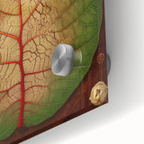 Close-up of vibrant floral and botanical wall art featuring intricate designs on acrylic glass, showcasing rich colors and detailed textures, ideal for home decor.