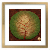 Elegant wall art frame showcasing a botanical design of colorful flowers and green leaves, featuring a gold mat and front view display, perfect for home decor.