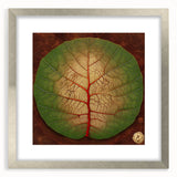 Framed wall art showcasing a vibrant floral and botanical design with silver matting, perfect for home decor, enhancing any interior space with nature-inspired elegance.