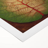 Rolled canvas artwork depicting vibrant floral and botanical designs with intricate leaf patterns, ideal for home decor or gallery displays, presented in a protective tube.