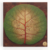 Vibrant stretched canvas wall art featuring a floral and botanical design with colorful flowers and green leaves, perfect for home decor and enhancing interior aesthetics.