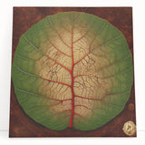 Colorful wall art featuring an intricate floral and botanical design on stretched canvas, elegantly leaning against a light wall, perfect for home decor.