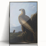 Majestic Realism Art Print – Washington Sea Eagle by Audubon