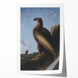 Majestic Realism Art Print – Washington Sea Eagle by Audubon