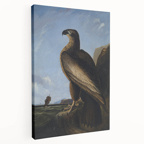 Majestic Realism Art Print – Washington Sea Eagle by Audubon