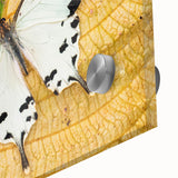 Large abstract wall art depicting Madagascar scenery in vibrant earth tones on acrylic glass, suitable for dining room decor.