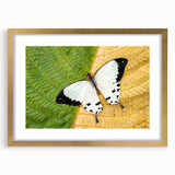 Textured abstract art print depicting a Madagascar landscape in warm earth tones, framed in gold, ideal for bedroom art.