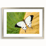 Abstract art print depicting a Madagascar landscape in muted earth tones, framed in silver, suitable for dining room decor.