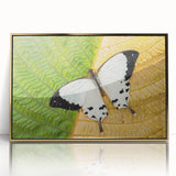 Mid-century modernist style acrylic print featuring a Madagascar landscape in gold and earth tones.