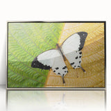 Art deco poster of Madagascar scenery in silver frame, acrylic print, ideal for modern nursery wall art.