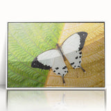 Framed acrylic print of a Madagascar landscape in muted earth tones, suitable for modern art wall decor.