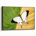 Black and white framed canvas of Madagascar landscape, ideal for bedroom wall art.
