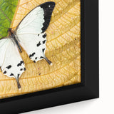 Extra large framed canvas featuring a textured depiction of a Madagascar landscape in black with colorful art accents.