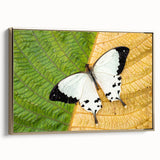 Framed canvas featuring a vintage-style landscape art painting of Madagascar with colorful art and black accents.