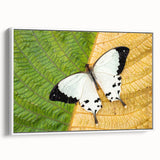 Framed canvas of a vintage-style Madagascar landscape in muted earth tones, suitable as wall art for a bedroom.