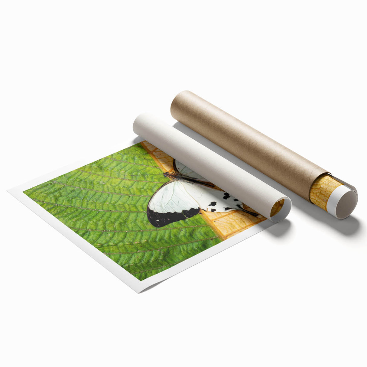 Extra large rolled print of Madagascar scenery with vibrant green and floral elements, ideal for classy bathroom wall art.