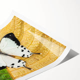 Extra large wall art featuring line art flowers in a Madagascar scenery on a rolled print, ideal for large living room decor.