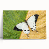 Large black and white stretched canvas of Madagascar scenery, ideal for kitchen wall art or bedroom decor.