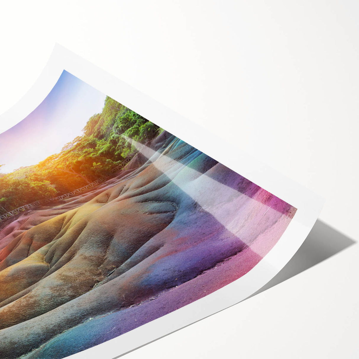 Extra large wall art featuring line art flowers in soft pastel shades on a rolled canvas.