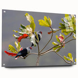 Acrylic glass print of Seychelles scenery with vivid blue and green tones, suitable for bedroom or dining room wall art.