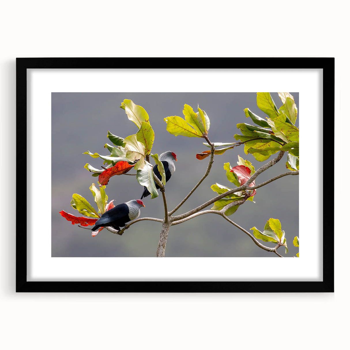 Extra large textured abstract art print depicting colorful Seychelles scenery on a framed black mat.