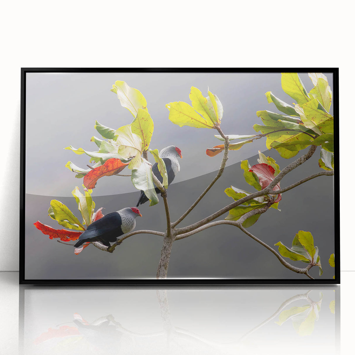 Large abstract wall art depicting a Seychelles scenery in black and white on acrylic, framed.