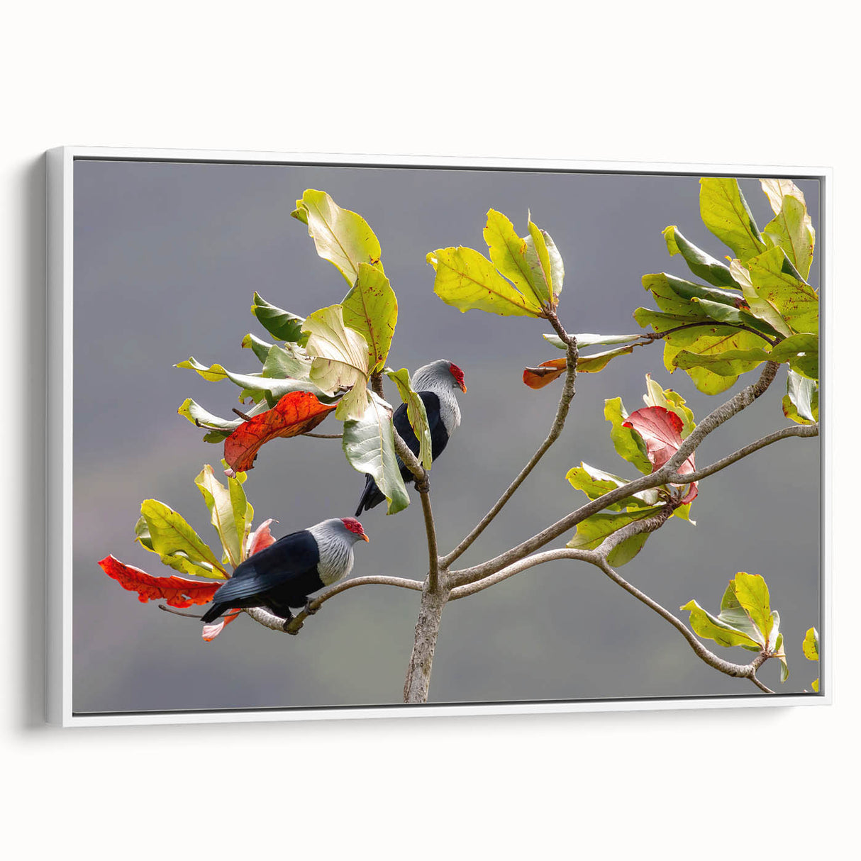 Vintage poster art of Seychelles scenery on framed canvas, featuring vibrant colors, ideal for living room decor.