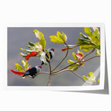 Extra large rolled print of Seychelles scenery with vibrant green and blue tones, ideal for art wall dining room decor.