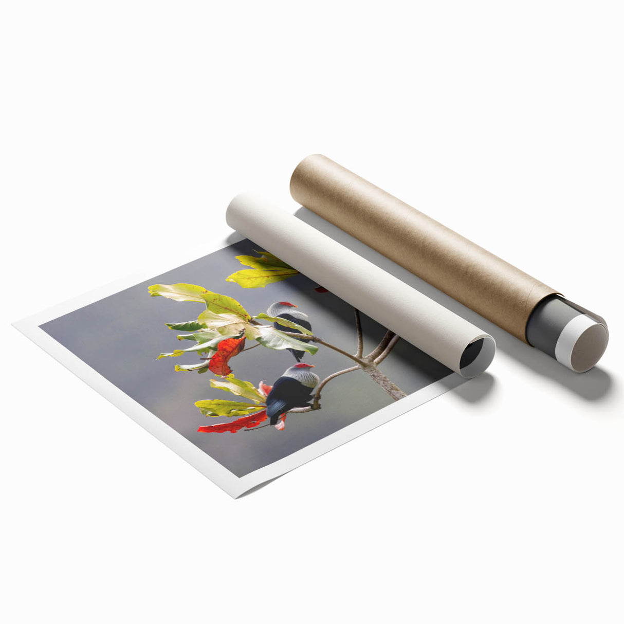 Extra large rolled print of Seychelles scenery with lush green flora and calm blue water, ideal for classy bathroom wall art.