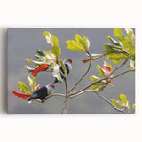 Black and white stretched canvas of an African Seychelles scenery, ideal for kitchen wall art or bedroom ambiance.